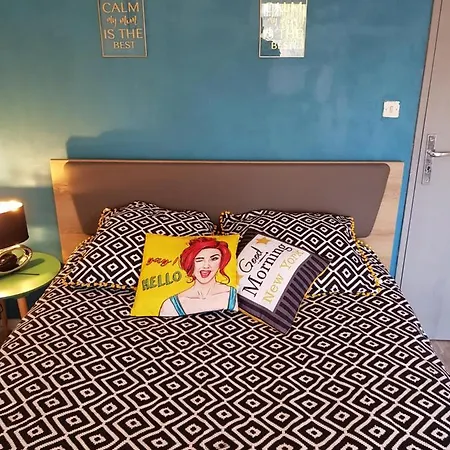 Apartman Cosy Chaleureux Avec Grand Balcon