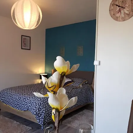 Cosy Chaleureux Avec Grand Balcon Dijon