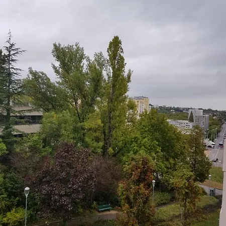 Apartamento Cosy Chaleureux Avec Grand Balcon Dijon